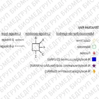 Стандарт Nгликанов AdvanceBio 2AB G0/A2 ранее ProZyme