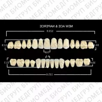 Гарнитуры пластмассовых зубов TL5 M33, цвет A3, 28 шт.