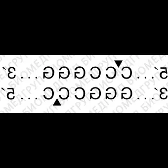 Эндонуклеаза рестрикции XmaI, 10 000 ед/мл, New England Biolabs, R0180 L, 2 500 единиц