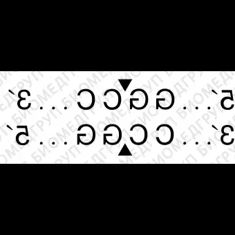 Эндонуклеаза рестрикции HaeIII, 10 000 ед/мл, New England Biolabs, R0108 L, 15 000 единиц