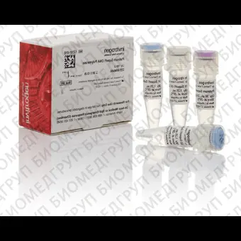 ДНКполимераза Platinum SuperFi DNA Polymerase, Thermo FS, 12351250, 5х500 единиц