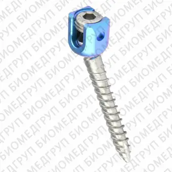 Транспедикулярный винт для грудопоясничного позвонка REED Polyaxial Screw