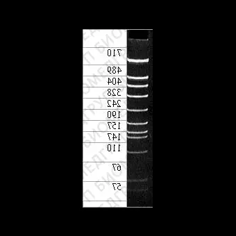 ДНКмаркер pBlueSK/Mspl, 13 фрагментов от 24 до 710 п.н. концентрат 0,5 мг/мл, Диаэм, 3020.0250, 250 мкг