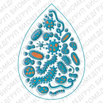 Микропланшет 96луночный Ecoplate для анализа микробных сообществ 10 шт/уп.