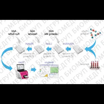 Панель для профилирования миРНК, Multiplex miRNA Assay Cardiology Panel  Circulating, Abcam, ab204063, 96 тестов