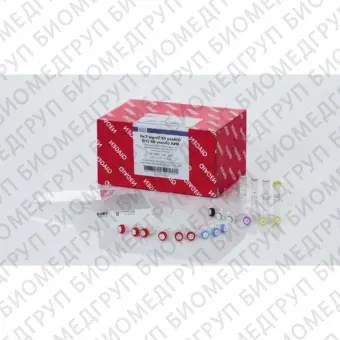 Набор QIAseq FX Single Cell RNA Library Kit для подготовки РНКбиблиотек из единичных клеток24 реакции