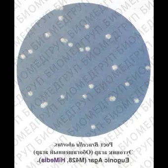 Агар эугоник обогащенный, 500 г ФСЗ 2009/03707
