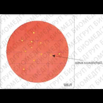 Бакпечатки HiTouch для ускоренного подсчета S. aureus 50 чашек d 55 мм ФСЗ 2009/03706