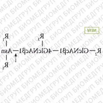 AdvanceBio NGlycanaseplus PNGase F, 10 ЕД/мл ранее ProZyme