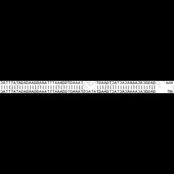 Клеточная линия Human CD47 knockout HEK293T cell line, Abcam, ab266324, 1 млн.кл.