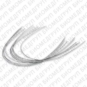 Дуги ортодонтические международная форма Нержавеющая сталь для нижней челюсти SS L .017x.025/.43x.64