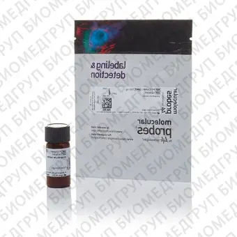 Пропидий йодид, Thermo FS, P1304MP, 100 мг