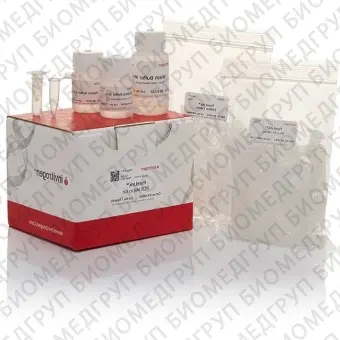 Набор PureLink PCR Micro Kit, Thermo FS, K310250, 250 выделений