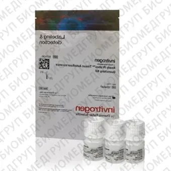 Набор для снижения автофлуоресценции  ReadyProbes Tissue Autofluorescence Quenching Kit, Thermo FS, R37630, 1 набор