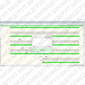 Программное обеспечение для микробиологии SnapGene