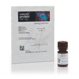 Пропидий йодид, 1 мг/мл, раствор в воде, Thermo FS, P3566, 10 мл