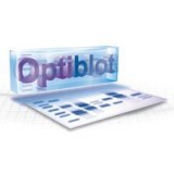 Гель полиакриламидный готовый, Optiblot SDS Gel 10% (8x10 см), 12 лунок, Abcam, ab119206, 10 шт/уп