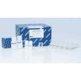Набор для выделения ДНК из тканей, фиксированных в формалине и залитых парафином (FFPE-образцов) QIAamp DNA FFPE Tissue Kit, Qiagen, 56404, 50 выделений