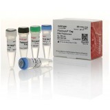 ДНК-полимераза Platinum Taq DNA Polymerase, 5 ед/мкл, Thermo FS, 10966083, 5000 реакций