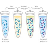 Набор для конъюгации антител PE / R-Phycoerythrin Conjugation Kit, Lightning-Link, Abcam, ab102918-60, 60 мкг