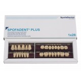 Spofadent Plus (В4) 1/40-0/7-1/62