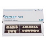 Spofadent Plus (D2) 1/40-0/7-1/62