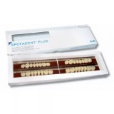 Spofadent Plus (С4) 1/17-0/6-77N