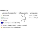 Стандарт N-гликанов AdvanceBio InstantAB G2F / FA2G2 (ранее ProZyme)