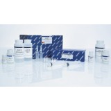 Набор QIAGEN Plasmid Plus Maxi Kit для выделения плазмидной ДНК(25 реакций)
