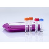 Набор реагентов virotype® CSFV для обнаружения вируса КЧС методом Real-Time PCR(24 реакции)